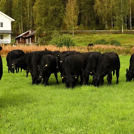 Piltingsrud Gardshotel *