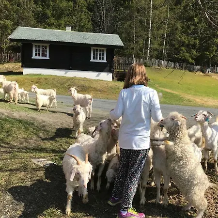 Piltingsrud Gardshotel * SOR-AURDAL